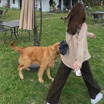 无颜之月